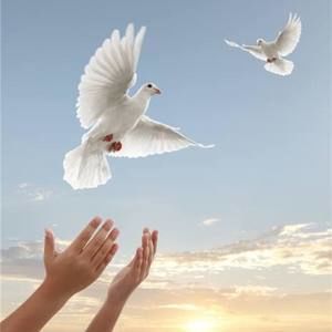 Meet your Posher, Carol